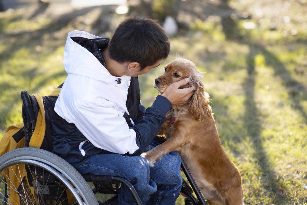 Adolescente acariciando a un perro en silla de ruedas durante una sesión de terapia asistida con animales