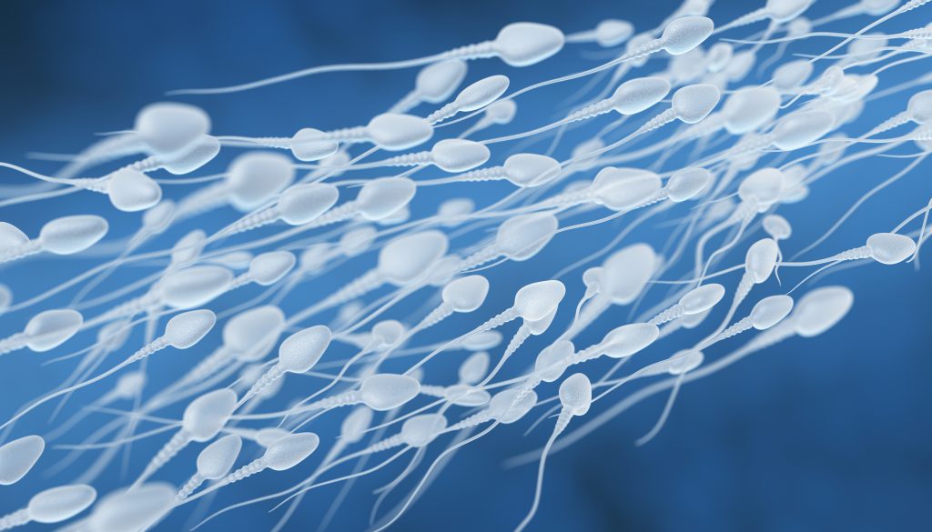 Simulación visual de espermatozoides nadando